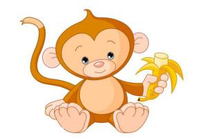 属猴的几月出生最好 猴年宝宝几月出生好