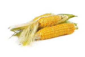 梦见收玉米是什么预兆