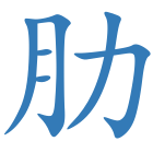 肋