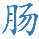 肠