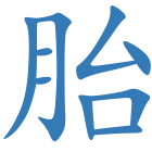 胎