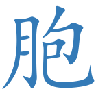 胞