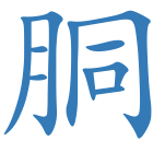 胴