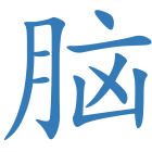 脑