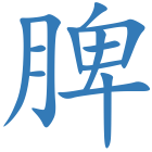 脾