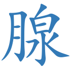 腺