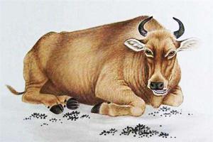 1949年的生肖牛